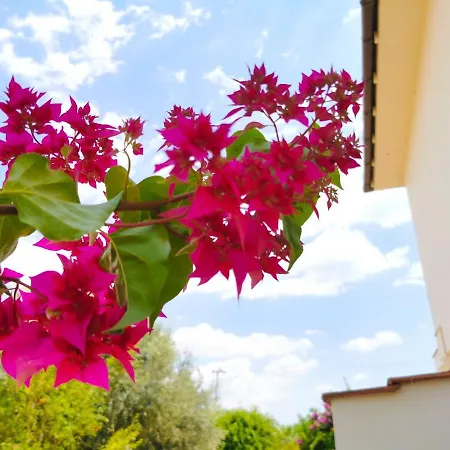 The Barbeque Garden House Villa Voroklini